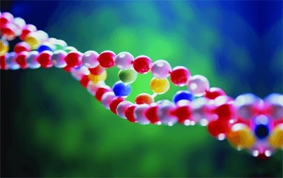 ДНК – сложные экспертизы и отбор в Крыму
